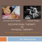 A Comparison Of Occupational Therapy And Physiotherapy Fisioterapiasinred