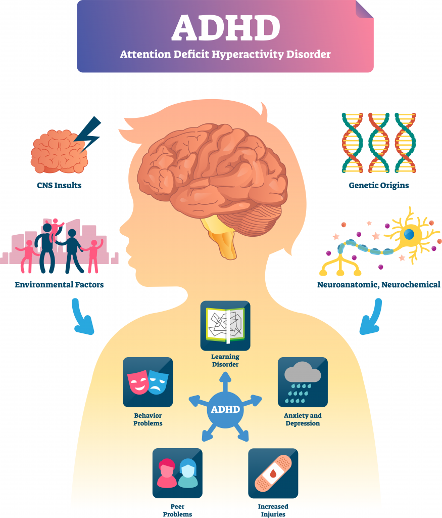 Blog Post 4 ADHD Symptoms Males Vs Females Butterfly Effects