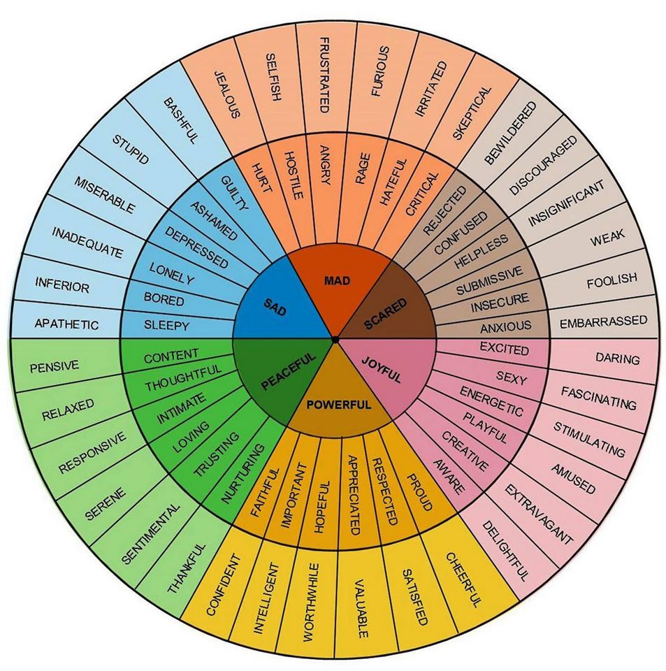 Feelings Wheel Emotions Wheel Emotional Resilience Feelings Wheel