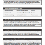 Fight Or Flight Response Worksheet Free Download Goodimg co