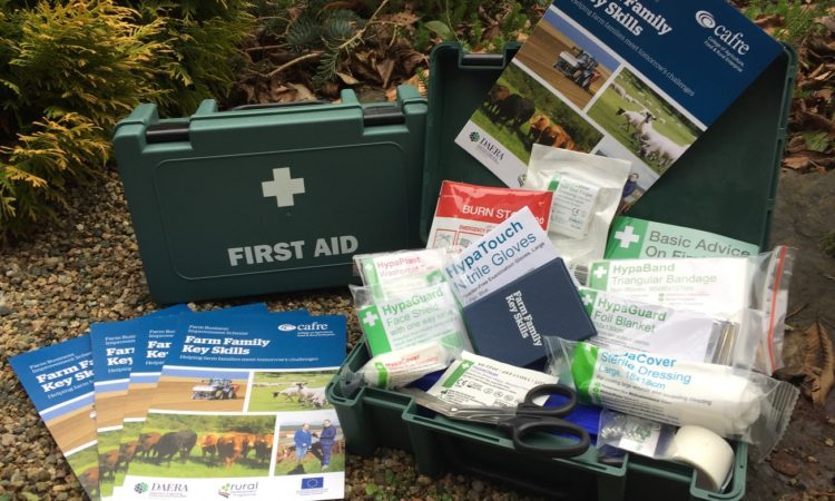 First Aid Courses Launched For Northern Ireland Farmers Farmsafely