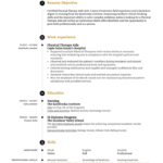 Free Physical Therapy Aide Resume Example Kickresume