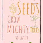 From Tiny Seeds Grow Mighty Trees Volunteer Paraprofessional Gifts