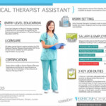 Physical therapist assistant Infograph Career Overview Physical