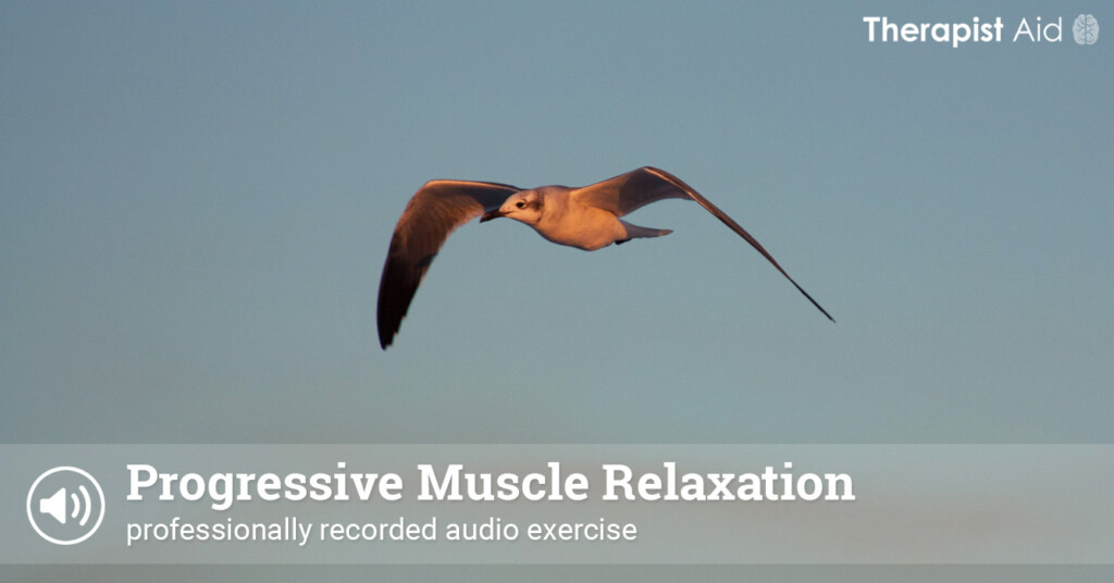 Progressive Muscle Relaxation Therapist Aid