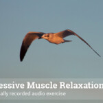 Progressive Muscle Relaxation Therapist Aid