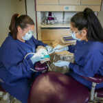 Service With A Smile Alaska s Solution For America s Dental Care