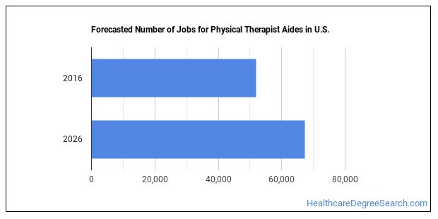 Should You Become A Physical Therapist Aide Healthcare Degree Search