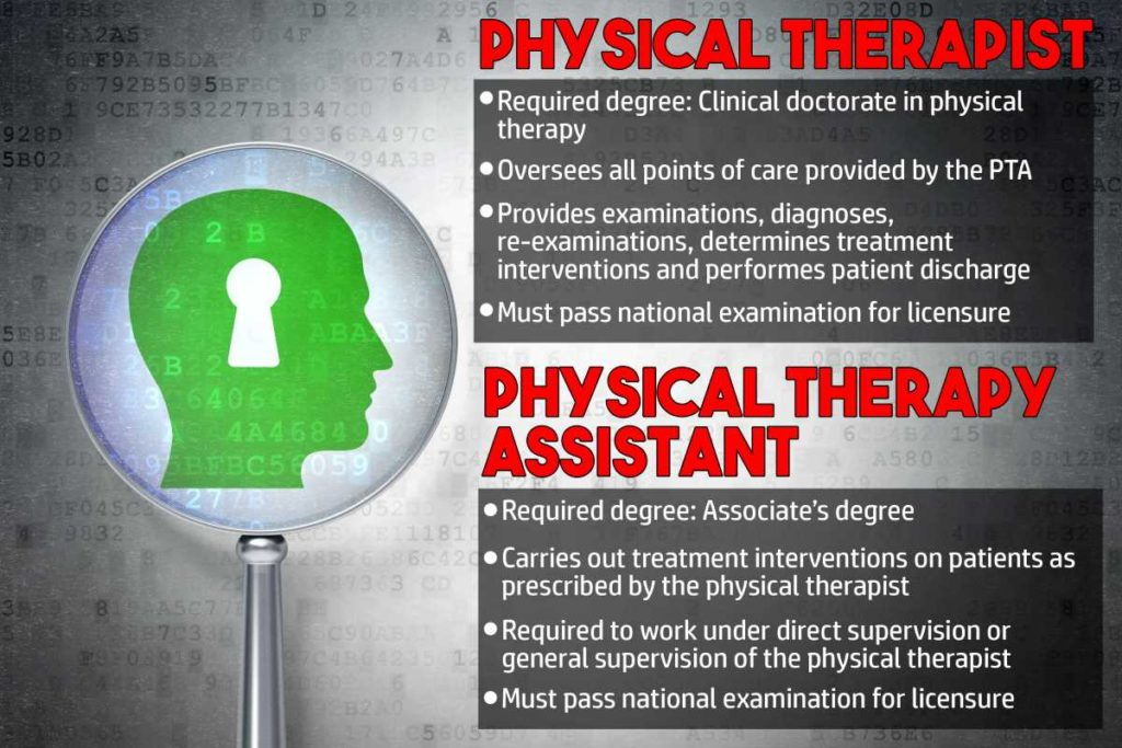 The Difference Physical Therapist Vs Physical Therapy Assistant