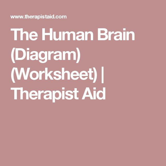 The Human Brain Diagram Worksheet Therapist Aid Human Brain 