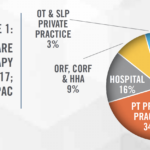 2020 Outlook Physical Therapy Clinics Centers HealthCare Appraisers