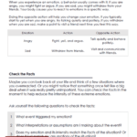 DBT Emotion Regulation Skills Preview Dialectical Behavior Therapy