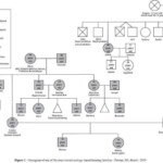 Genogram Psych therapy Genogram Template Social Work Pertaining To