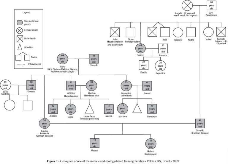 Genogram Psych therapy Genogram Template Social Work Pertaining To 