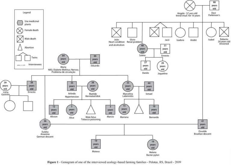 Genogram Psych therapy Genogram Template Social Work Pertaining To