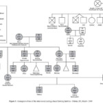 Genogram Social Work Template Vehement Blogsphere Pictures Library