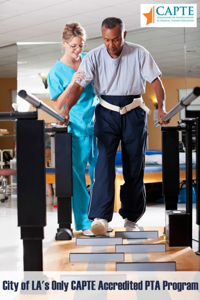 How To Become A Physical Therapist Aide