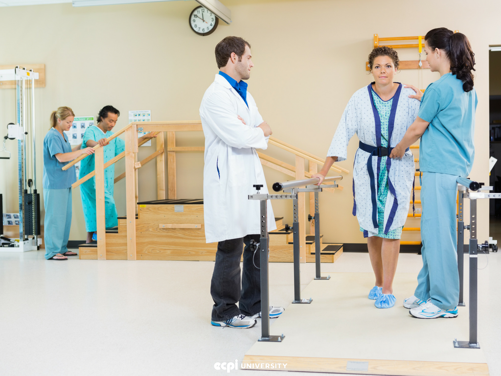 How To Become A Physical Therapist Assistant In Texas CollegeLearners