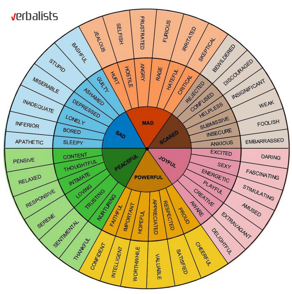 Kaitlin Robbs Vocabulary Wheel Feelings Wheel Emotions Wheel 