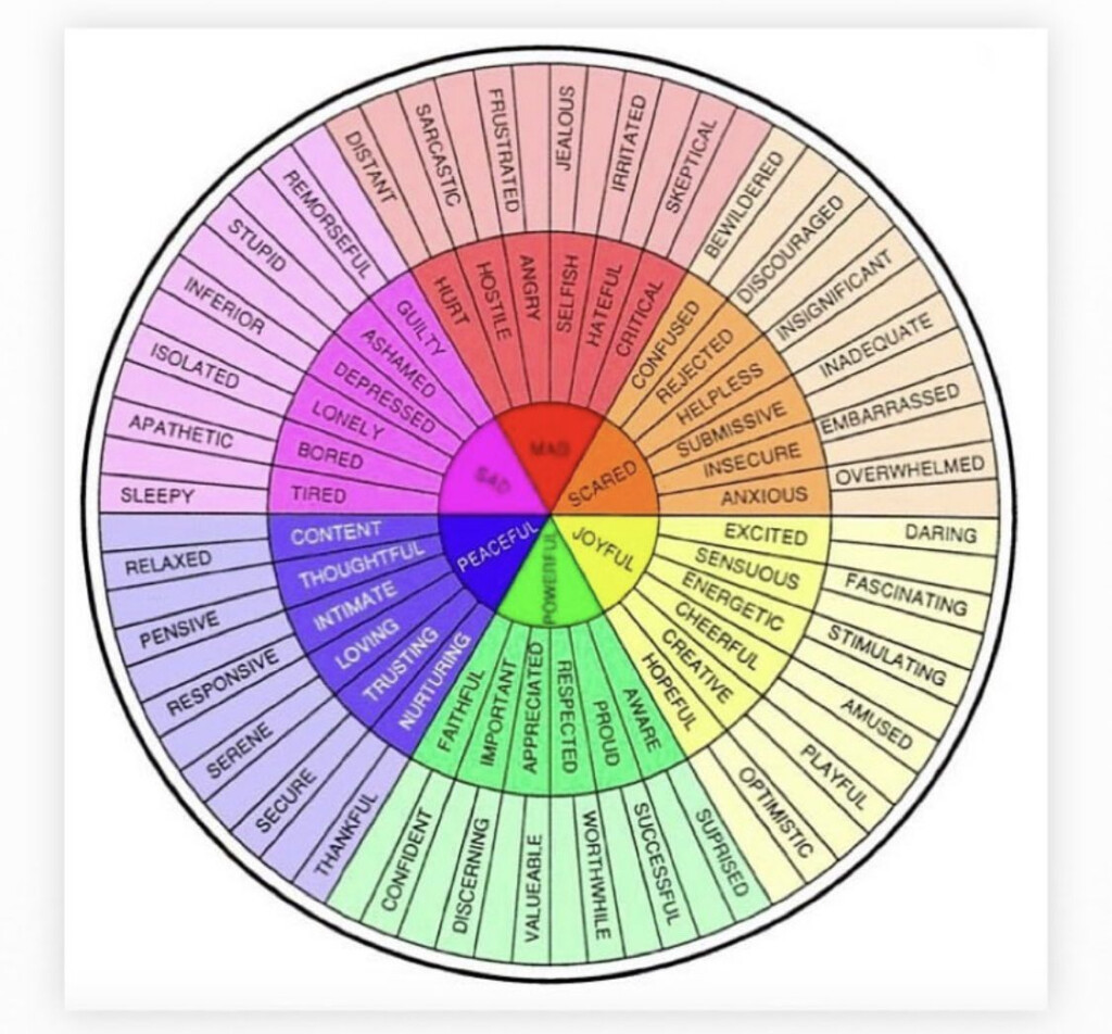 Marie The OT Occupational Therapy Resource Blog Feelings Wheel 