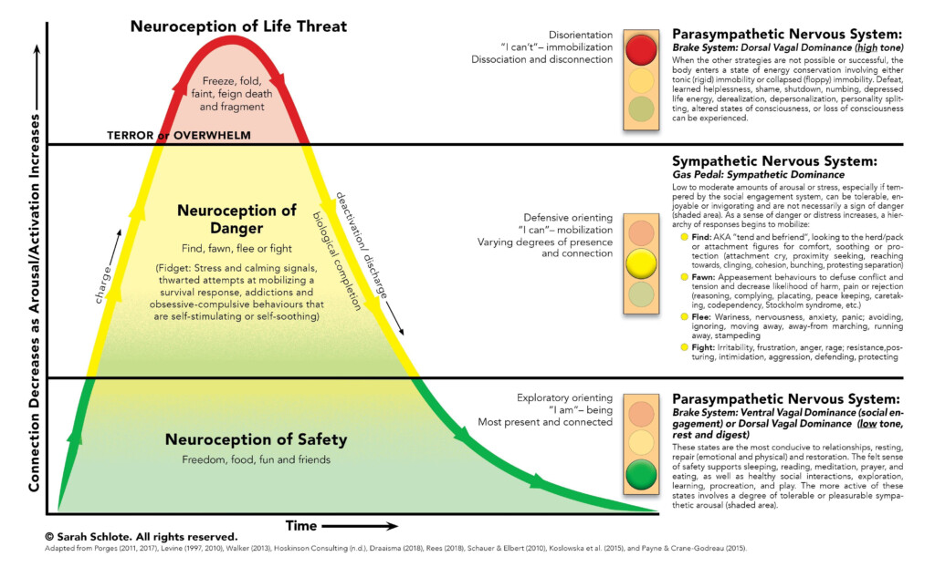 Meditation As Lifestyle Medicine Understanding The Fight Flight 