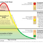 Meditation As Lifestyle Medicine Understanding The Fight Flight