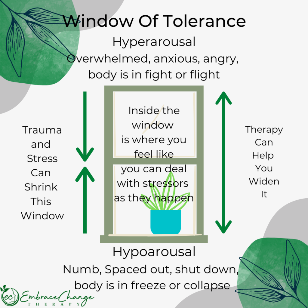 The Window Of Tolerance Embrace Change Therapy