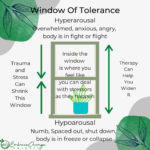 The Window Of Tolerance Embrace Change Therapy