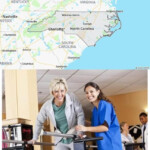 Top Physical Therapy Schools In North Carolina Top Pharmacy Schools