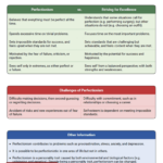 What Is Perfectionism Worksheet Therapist Aid DBT Worksheets